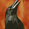 Fire Bird